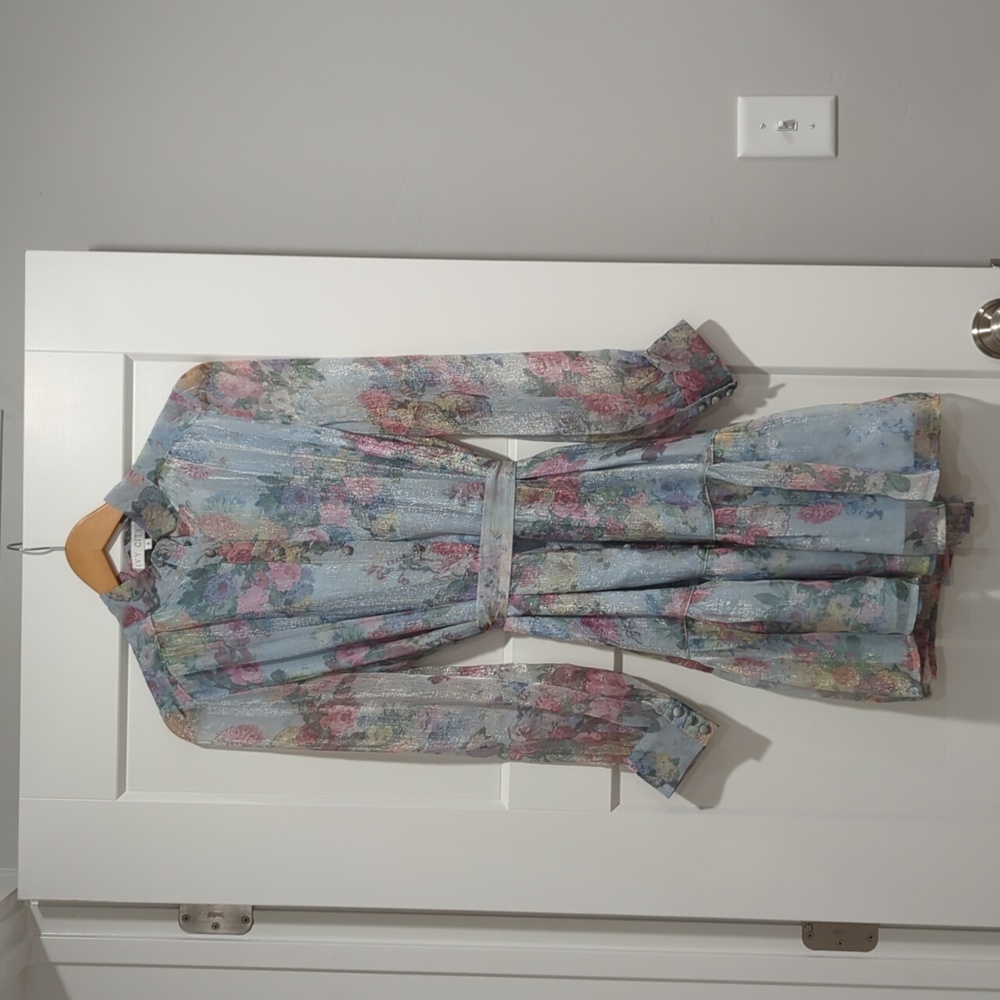 Ivy City Co Blue Floral Dress